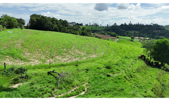 Imagem 5: Vendo terreno rural 35.000 m² em Laurentino - SC