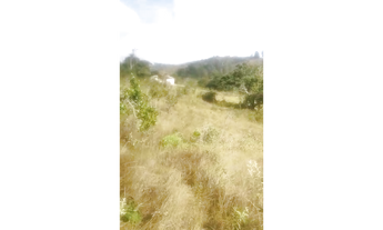 Imagem 4: Fazenda de 40 ha em Oliveira