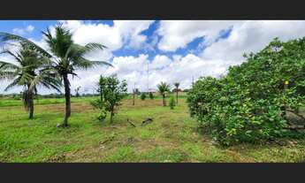 Imagem 5: Propriedade de 30 mil metros quadrados na Vila Pirâmide - Daniel Meneses