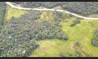 Imagem 5: Fazenda à venda em Doutor Pedrinho SC no São João