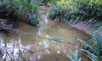 Imagem 7: Sítio de 5 ha Rio Manso MG