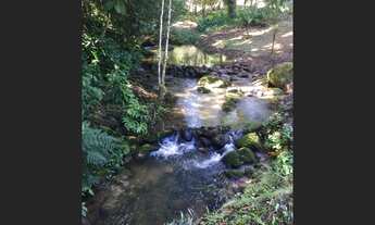 Imagem 3: Vende-se Linda Fazenda em Juguia - São Paulo