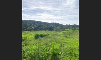 Imagem 3: Fazenda de 420 há em Oliveira MG