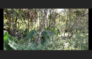 Imagem 5: Sítio de 10 há em Passa Tempo MG