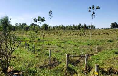 Imagem 6: Belíssima estância em Campo Grande MS Casa enorme e muitas benfeitorias