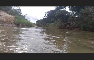 Imagem 4: Vendo terreno rural próximo a São João Batista Serra da Canastra