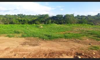 Imagem 6: Terreno na Av. Mestre Dezinho