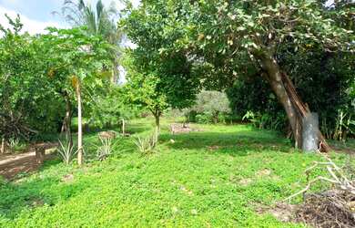 Imagem 4: Terreno à venda no centro da cidade