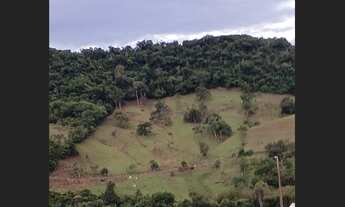 Imagem 2: Chácara 2 alqueires a 5 Kilometros da cidade de jardim alegre a 2 km do asfalto