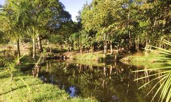 Imagem 7: Vende-se Linda Fazenda em Juguia - São Paulo