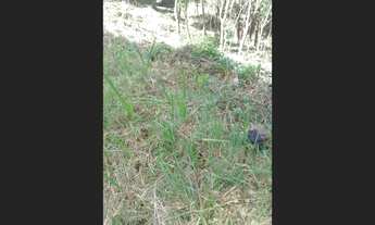 Imagem: Terreno a Venda na Região do Morro do Elefante