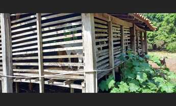 Imagem 6: Sitio na Santa Tereza - 12 ha