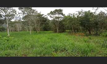 Imagem: Chácara 9 alqueiros - Mimoso Goiás 300