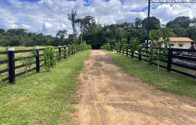 Imagem 5: Fazenda A Venda No Acará, PA 484 Hectares ou 200 Alqueires