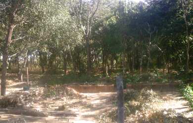 Imagem 2: Áreas na lateral do Condomínio Parque da Serra em Barra do MT