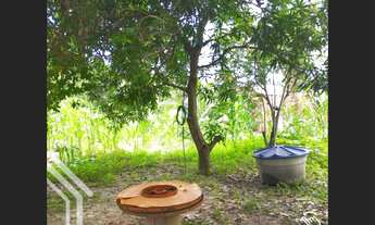 Imagem 6: EXCELENTE TERRENO IDEAL PARA UMA CHÁCARA NA CIDADE DO GRAÇA