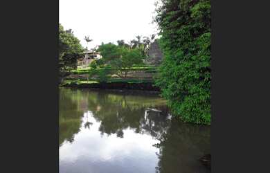 Imagem 7: Sítio à venda em Alfenas