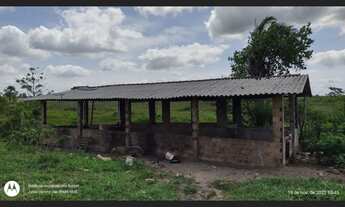 Imagem 6: 200 hectares pronta e documentada sentido Capanema