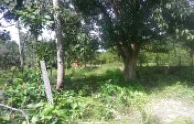 Imagem 2: Mini chácaras a parti de 900 m2 em área nobre porto vasco a parti 75 mil reais