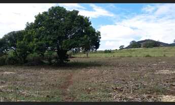Imagem 1: Terreno beira de estrada 30 000m em distrito empresarial