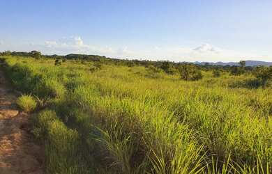 Imagem 3: 725 Alqs Ja Foi Soja Plana Rio Região Taguatinga TO