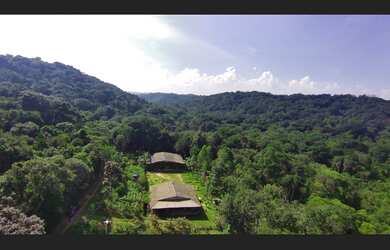 Imagem 4: Chácara à Venda em Juquitiba SP com 10.000 m2, casa e riacho aos fundos!