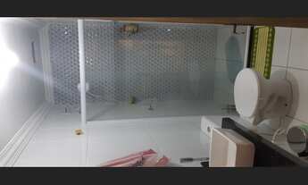 Imagem 3: Casa com documentos ok