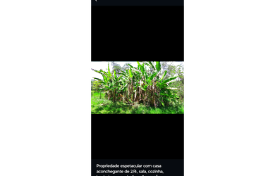 Imagem 7: Sítio em Santa Barbara do Monte Verde MG