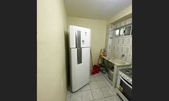 Imagem 6: Verde que te Quero Verde