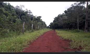 Imagem 3: ÁREA 1.33HEC PRÓX. OTÁVIO PÉCORA