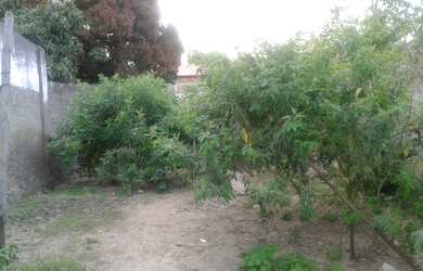 Imagem 6: TERRENO NO CENTRO EM RU BARBOSA BAHIA