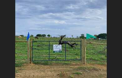 Imagem 7: Fazendinha de 20 mil mt em Paraopeba
