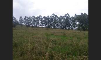 Imagem 5: Fazenda de 25 ha em Itaguara
