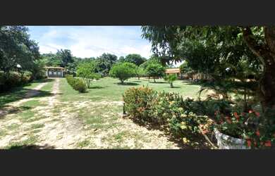 Imagem: Ee 012 - sítio na Estrada da Cacimba Velha