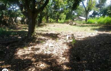 Imagem 7: Terreno para venda no município de Lidianópolis (Porto Bá