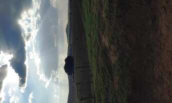 Imagem 6: Terreno de 69 há em oliveira MG