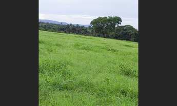 Imagem 6: 496 Dupla Aptidão Beira Rio Safra e Safrina Rio d Conceição TO