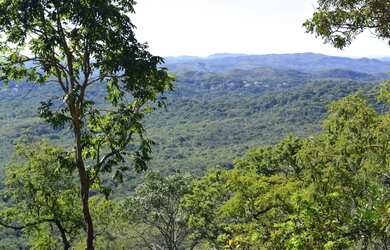 Imagem 4: Reserva Legal Extra Propriedade - Compra e Venda - Regularização Ambiental