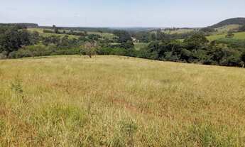 Imagem 6: Sítio com 10,2 alqueires para venda em Avaré/SP ✅ Área total com 10,25 alqueire