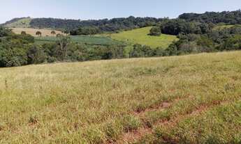 Imagem: Sítio com 10,2 alqueires para venda em