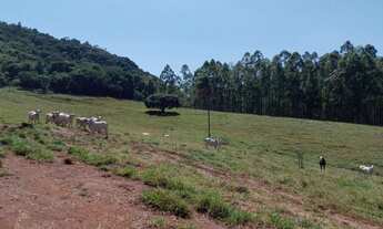 Imagem 2: Sítio com 10,2 alqueires para venda em Avaré/SP ✅ Área total com 10,25 alqueire