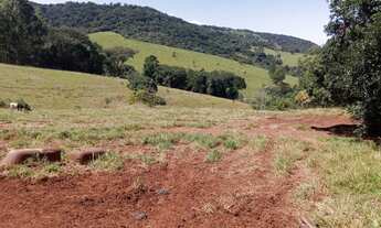Imagem 3: Sítio com 10,2 alqueires para venda em Avaré/SP ✅ Área total com 10,25 alqueire
