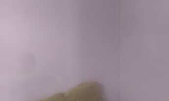 Imagem 7: Casa 2 quartos, Rua Dardo altura do Jardim Botânico, ( 2 1 ) 9 8 7 7 4 1921, José Costa