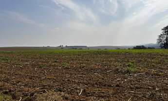 Imagem 6: Fazenda à venda em Joaquim Távora/PR Ao total são115 alqueires terra roxa, plantando 100