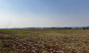Imagem 2: Fazenda à venda em Joaquim Távora/PR Ao total são115 alqueires terra roxa, plantando 100
