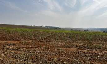 Imagem 3: Fazenda à venda em Joaquim Távora/PR Ao total são115 alqueires terra roxa, plantando 100