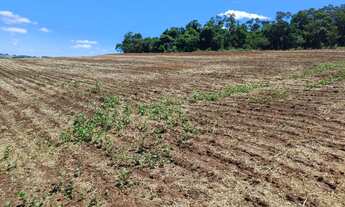 Imagem 5: Fazenda à venda em Taquarituba/SP Fazenda com 51 alqueires e planta 40 alqueires Não te