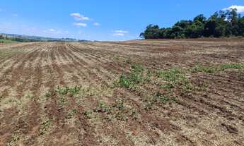 Imagem 6: Fazenda à venda em Taquarituba/SP Fazenda com 51 alqueires e planta 40 alqueires Não te