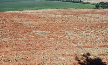 Imagem 4: Fazenda à venda em Taquarituba/SP Fazenda com 51 alqueires e planta 40 alqueires Não te