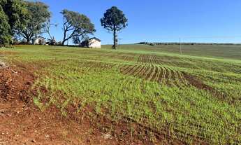 Imagem 3: Fazenda Centenária à venda na região de Taquarituba SP . Com 47 Alqueires plantando hoje